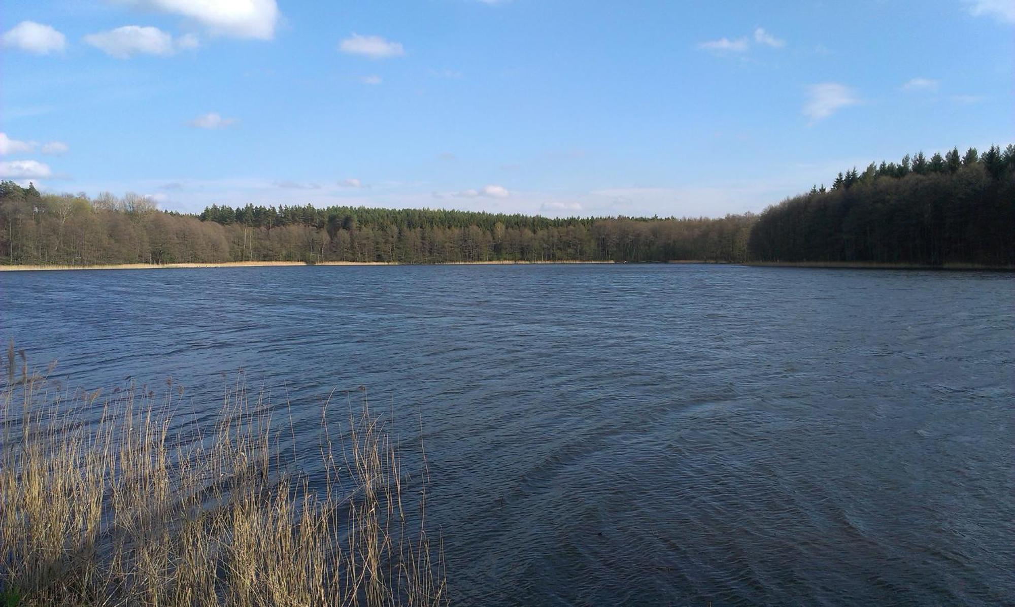 Agro-Tur Domki W Szuwarach Kuty Quarto foto