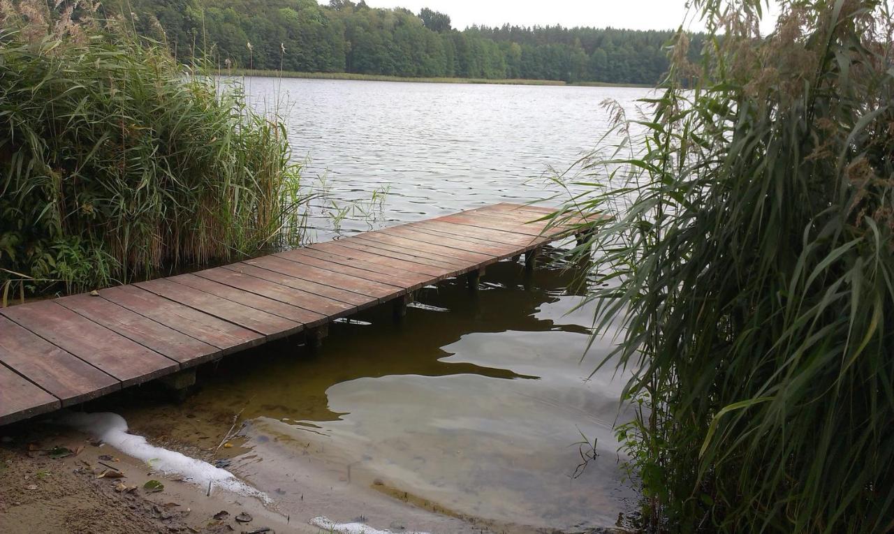 Agro-Tur Domki W Szuwarach Kuty Quarto foto